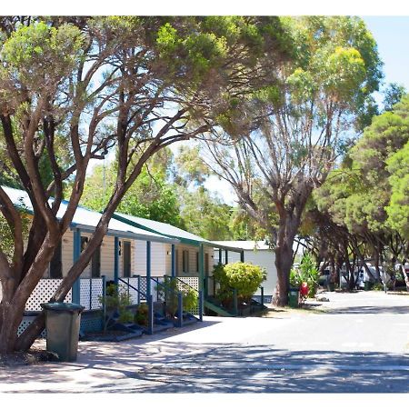 Discovery Parks - Coogee Beach Ngoại thất bức ảnh