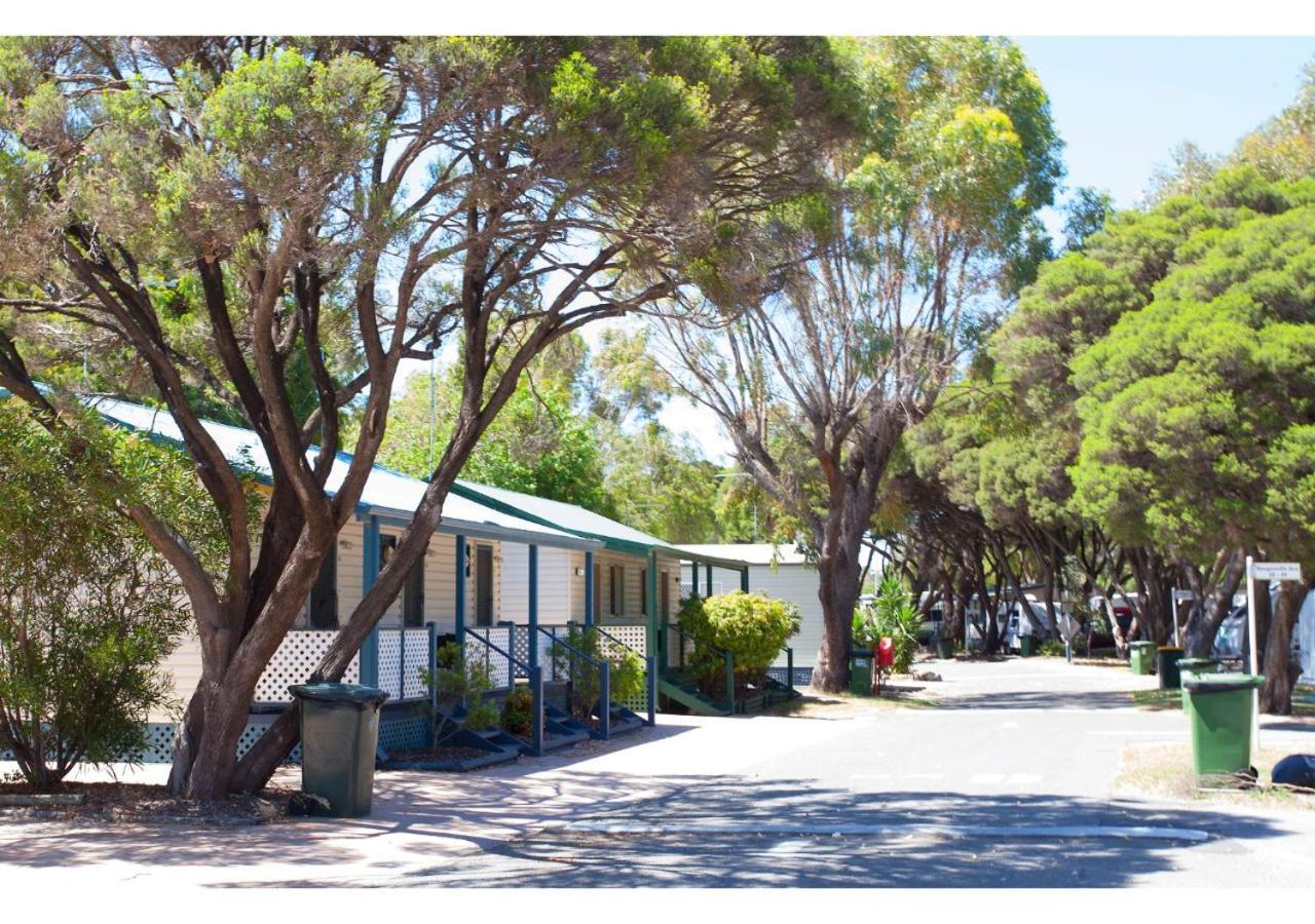 Discovery Parks - Coogee Beach Ngoại thất bức ảnh